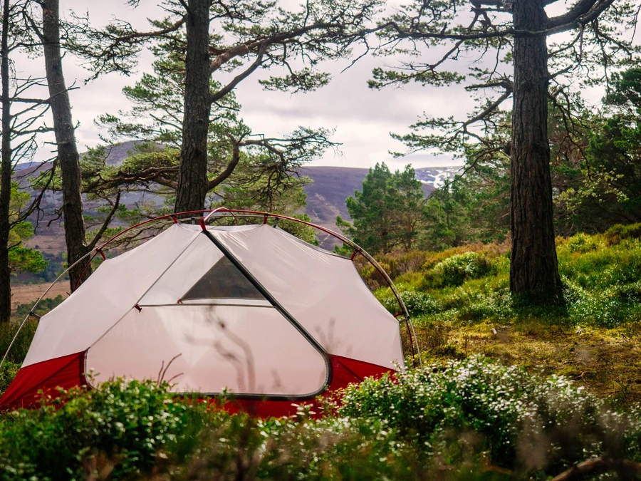 MSR Elixir 3 V2 Tent Backpacking Shelter 15 MSR Elixir 3 V2 Tent Backpacking Shelter - Image 13