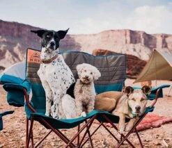 Kelty Loveseat Low Padded Double Camping Chair 17 Kelty Loveseat Low Padded Double Camping Chair -Camping Gear Store jjet1130