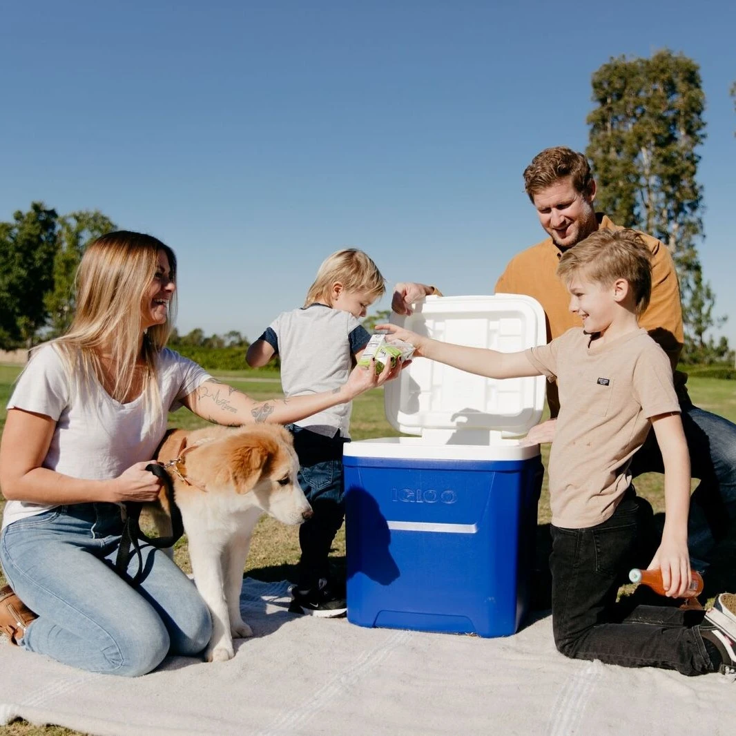 Igloo Laguna Roller 60 Wheeled Camping Cool Box 14 Igloo Laguna Roller 60 Wheeled Camping Cool Box - Image 12