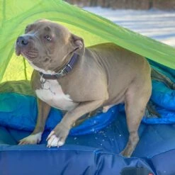 Big Agnes Goosenest Inflatable Cot Bed -Camping Gear Store zllo1059